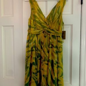 Anthropologie dress- never worn